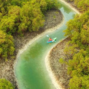 Guided Kayak Tour in the Reem Central Park Mangroves Water Sports