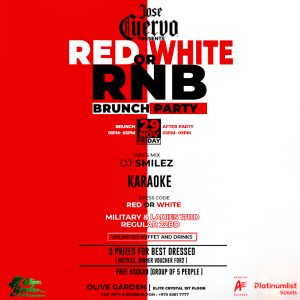 Red or White RNB Brunch Party at Olive Garden - Elite Crystal Hotel Brunches